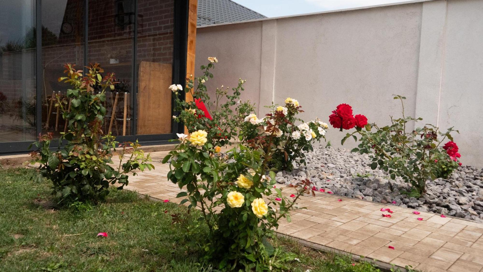 Casa Lucan ブラショフ エクステリア 写真